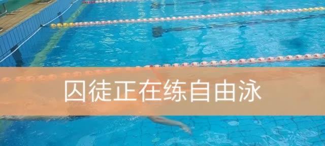 如何正确进行自由泳两侧换气？（关键在于腿的使用技巧）