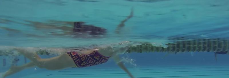 自由泳换气时呼吸的正确方法（掌握自由泳换气时的技巧，游出自己的风采）