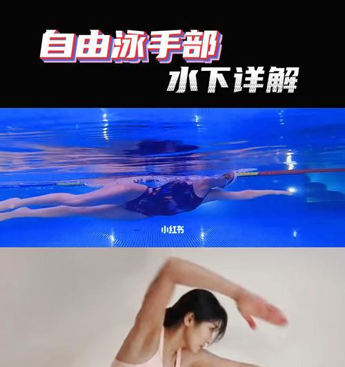 自由泳手臂动作关键技巧——肩膀交替（掌握正确的肩部和手臂动作，游出高效自由泳）