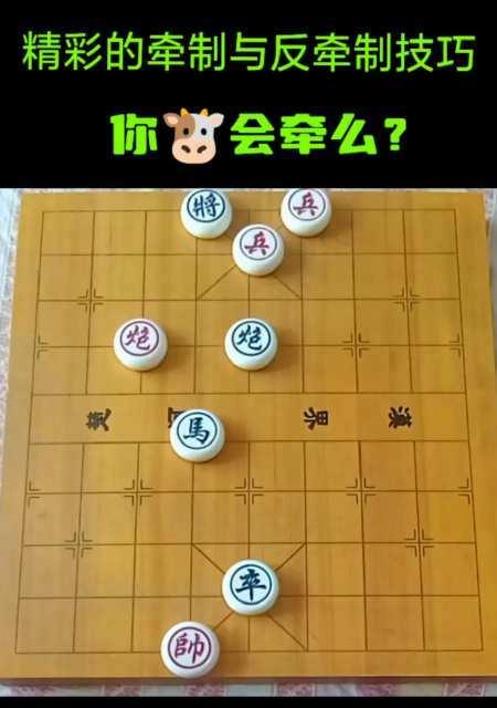 翻翻象棋必胜技巧（掌握关键步骤轻松赢得胜利）