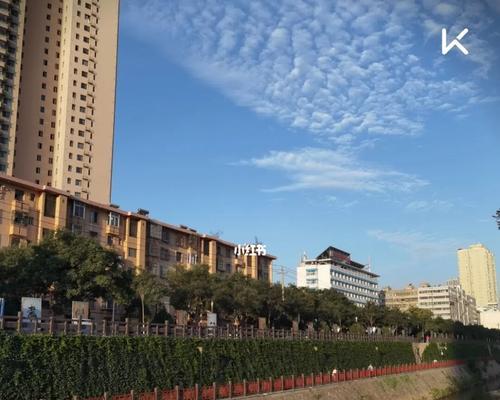 早晨打卡跑步训练方法和技巧（如何成为早晨跑步打卡的训练者）