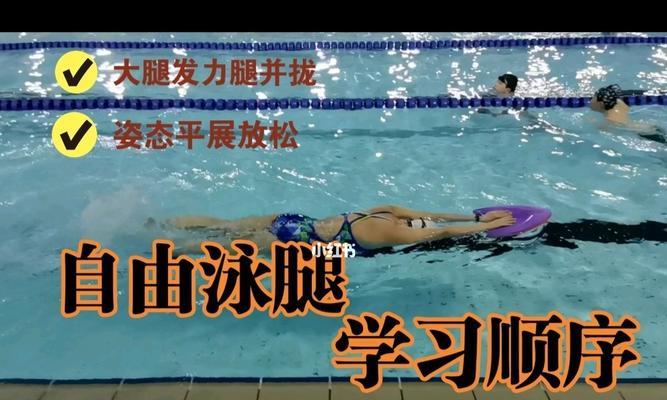 自由泳换气手臂上抬的技巧与训练（通过提高手臂上抬的高度）