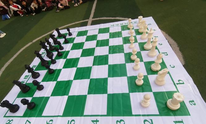 国际象棋腾挪技巧（大师级走子之道）