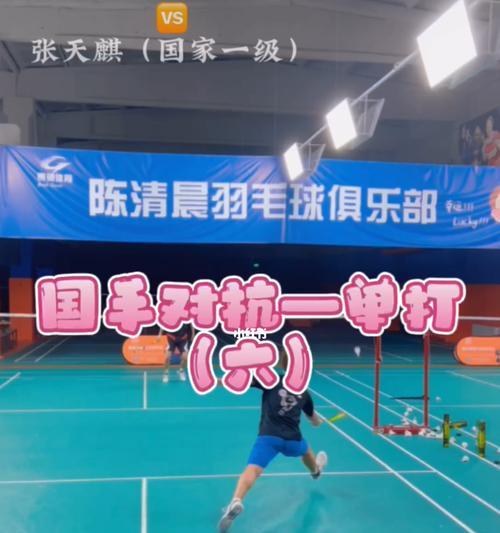 羽毛球新手教学（从零开始）