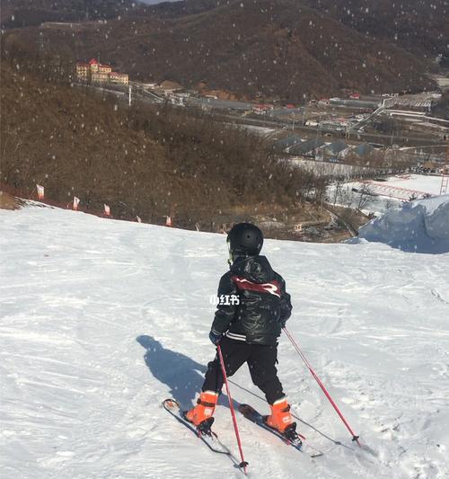 冬奥滑雪双板技巧教学（双板滑雪入门教程）