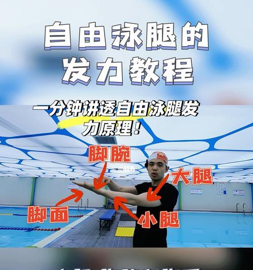 自由泳两化一换气技巧：让游泳更加高效