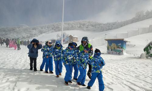 滑雪技巧全解析（从入门到精通）