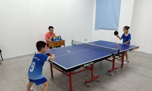 乒乓球入门技巧指南（从规则到基本技巧）