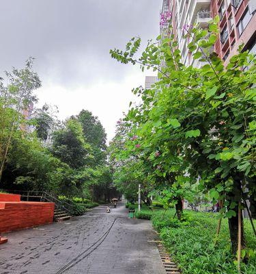 雨天跑步技巧大全（在雨中自由奔跑）