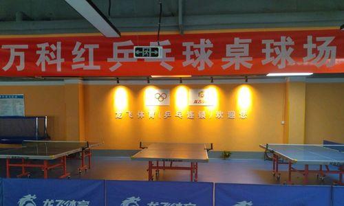 虚拟乒乓球联机技巧有哪些？如何提高联机对战胜率？