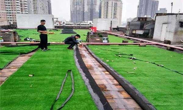 足球场草坪建植的整修技巧有哪些？如何保持草坪的最佳状态？