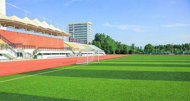 足球场草坪建植技巧有哪些？如何确保草坪质量？