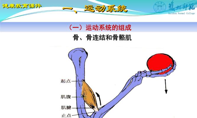 足球场角球技巧讲解大全？如何提高角球成功率？