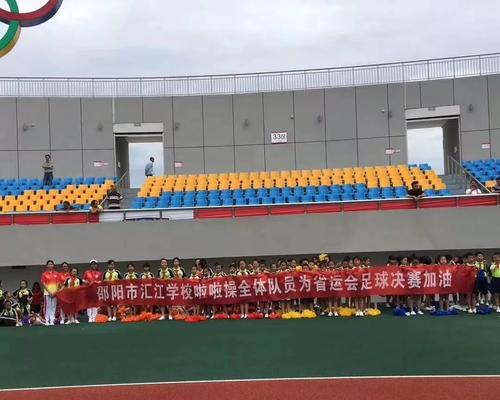 足球垃圾分类技巧是什么？如何正确分类足球垃圾？