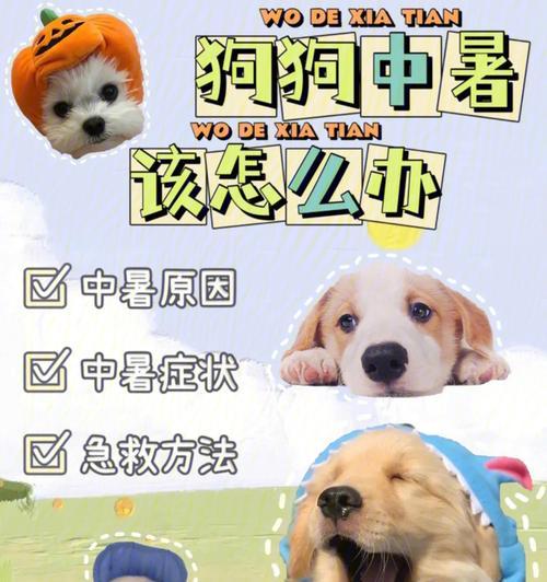 游泳换气后呼吸困难怎么办？如何快速恢复正常呼吸？