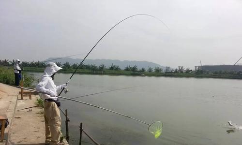 如何成为象棋高手？偷步技巧教程能帮助你吗？