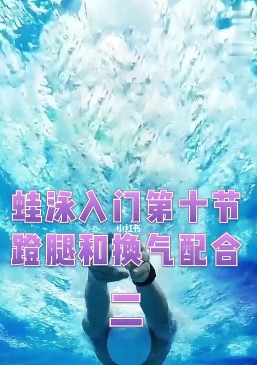 蛙泳换气的动作要领是什么？如何正确掌握蛙泳换气技巧？