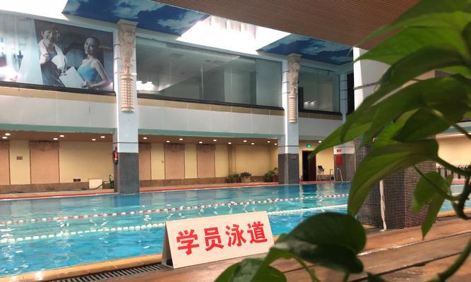 无换气游泳比赛是什么？如何训练提高成绩？