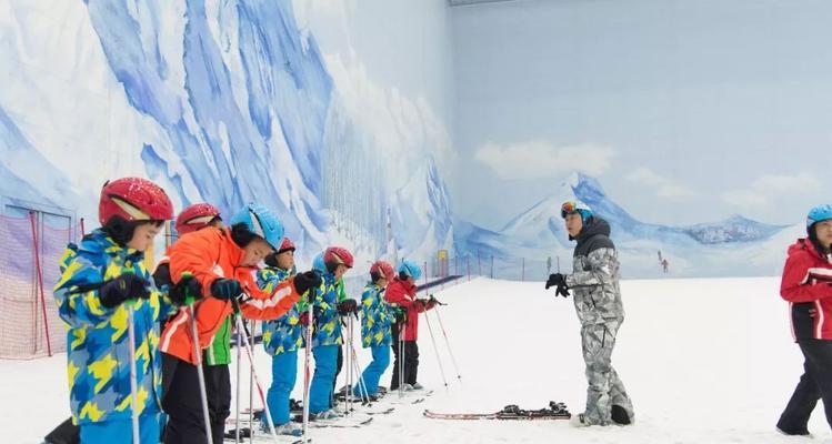 单板滑雪技巧锦标赛规则是什么？参赛者需要了解哪些要点？