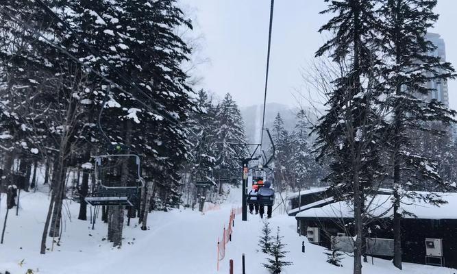 滑雪技巧点杖全解（15个专业技巧）