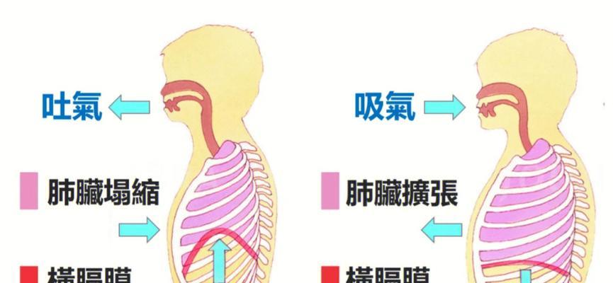游泳换气不呛水的技巧（避免水进入呼吸道）