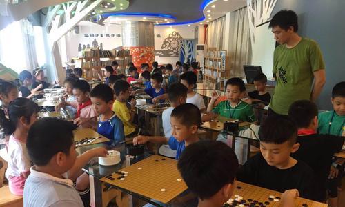 象围两棋，智者之选（象棋围棋技巧与应用）
