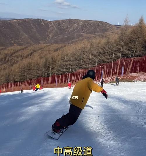 单板滑雪核心技巧是什么？如何快速掌握？