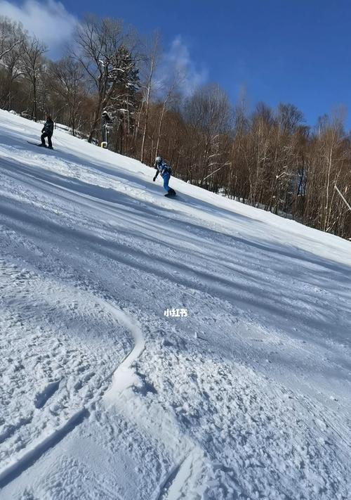 滑雪刹车技巧与口诀（如何通过刹车技巧安全滑雪）
