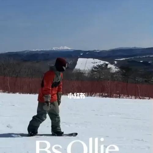 单板滑雪技巧掌握（以控制方向为主要内容）