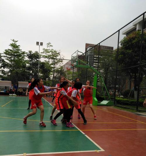 篮球全场简单实用技巧大全（打好篮球基础）