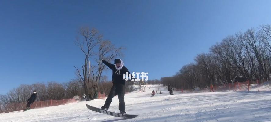 室内滑雪技巧攻略（雪场体验进入室内）