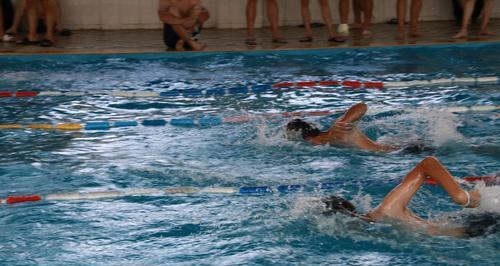 自由泳单臂划水动作要领是什么？如何正确执行以提高效率？