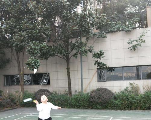 打羽毛球时如何掌握各种技巧动作要领？常见错误有哪些？