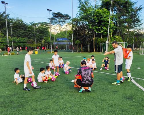 国外足球小孩射门技巧的研究（探究国外足球小孩射门技巧及其对于足球技巧发展的启示）